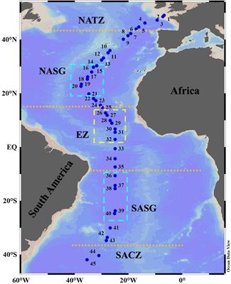 Organization of planktonic Tintinnina assemblages in the Atlantic Ocean